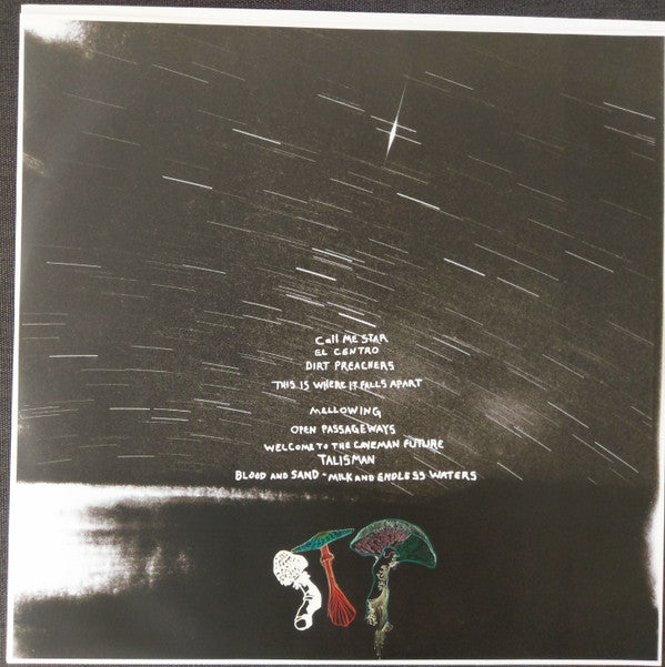 Dying Surfer Meets His Maker | Mint (M) Mint (M) - BLUES *SEALED*