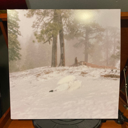 Pandora (MILKY CLEAR VINYL) | Mint (M) Mint (M) - ALT/INDIE *SEALED/CLEAR*