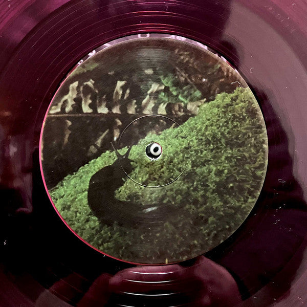 Old Joy (PINK VINYL) | Mint (M) Mint (M) - ALT/INDIE *NEW/COLOR*