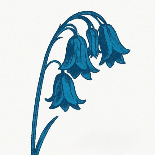 (PRESALE 5/15/26) This Is The Bluebells (GLADE GREEN 2xVINYL) | Mint (M) Mint (M) - ALT/INDIE *NEW/COLOR*