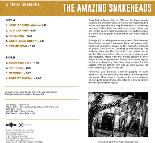 The Amazing Snakeheads - (PRESALE 10/9/26) 2 Meter Sessions - Gold (DLX LMTD GOLD VINYL LP) | NEW - ALT/INDIE *NEW/COLOR*