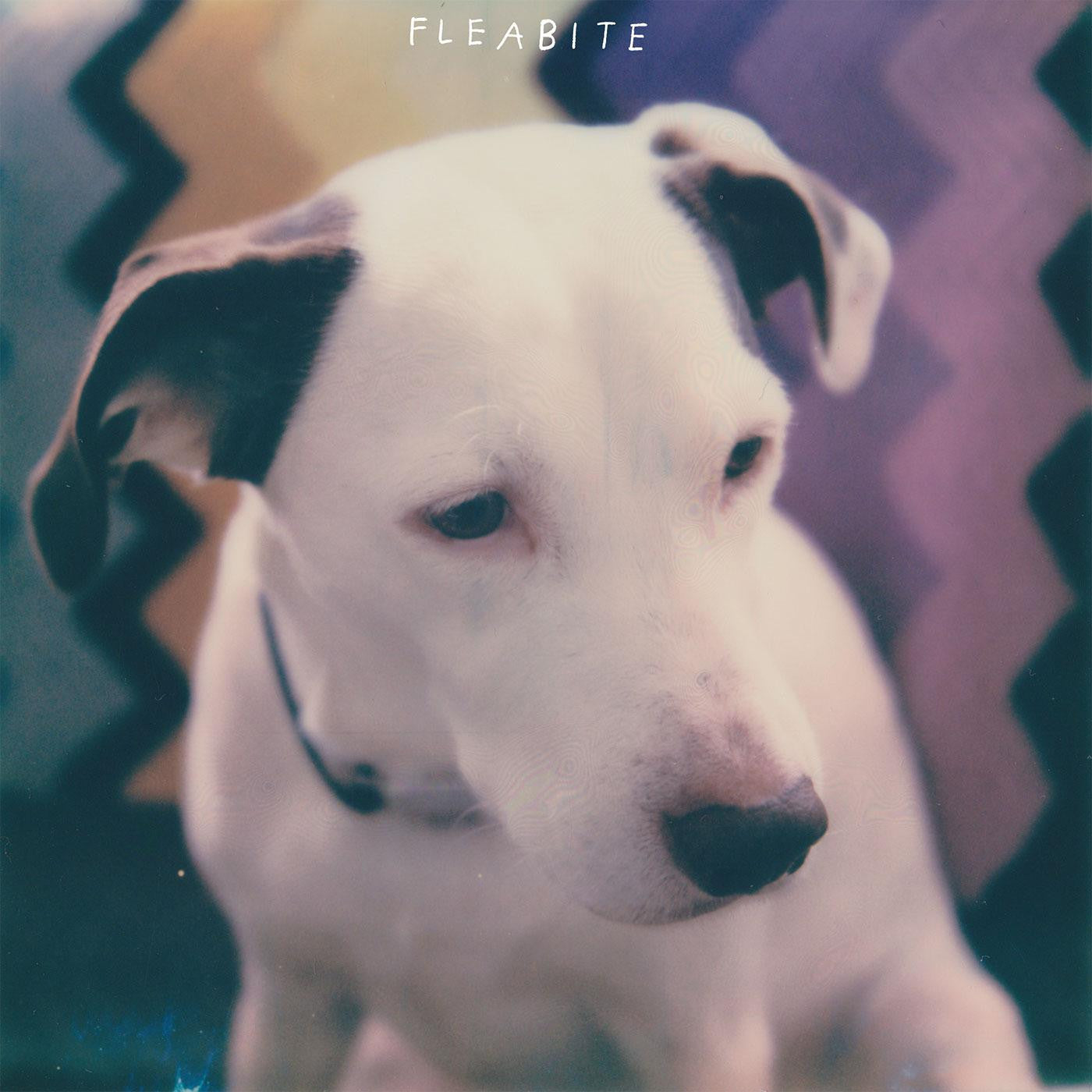 Fleabite - NVM (Vinyl) | - ALT/INDIE *NEW*
