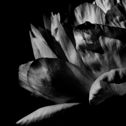 (PRE ORDER 4/17/26) La Ou Passe La Nuit (2xVINYL) | - ALT/INDIE *NEW*