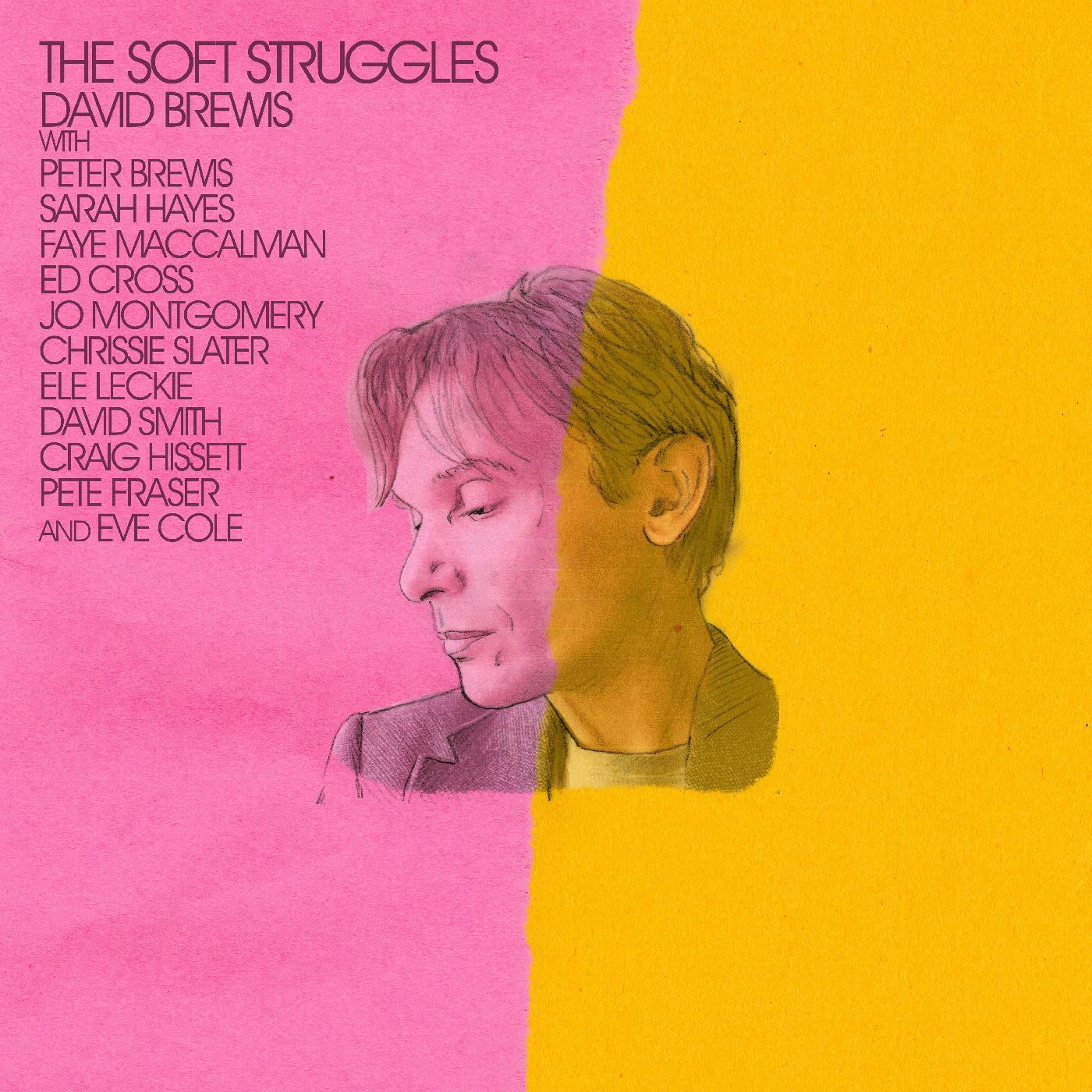 Brewis, David - The Soft Struggles | - ALT/INDIE *NEW*