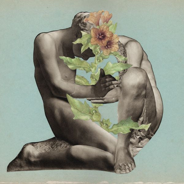 Grayling - Low (CD) | Mint Mint - ALT/INDIE *NEW*
