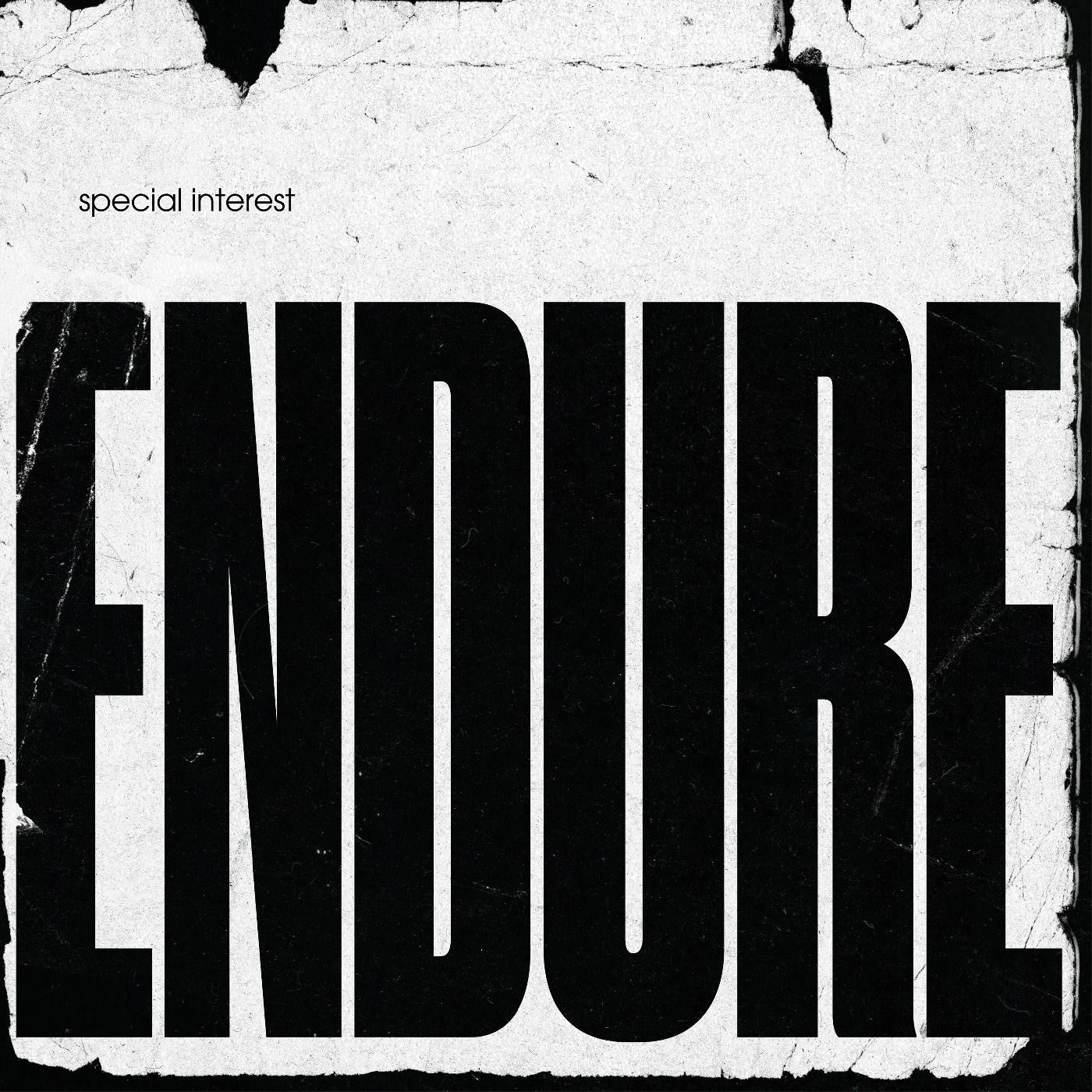 Special Interest - Endure (CD) | - ALT/INDIE *NEW*