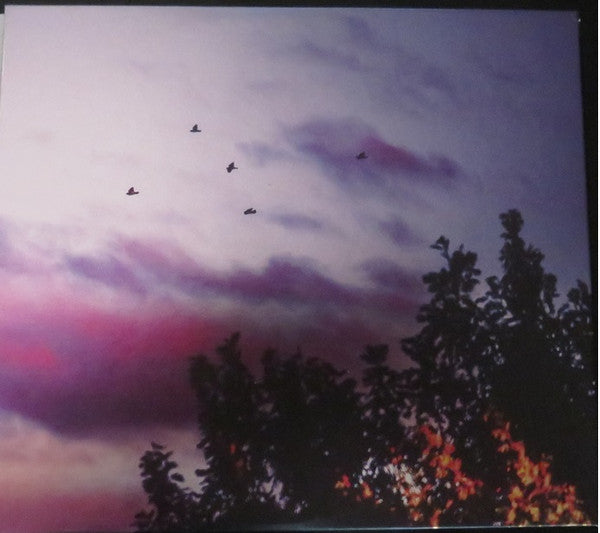 Moon Mirror *CD* | Mint (M) Mint (M) - ALT/INDIE *NEW*