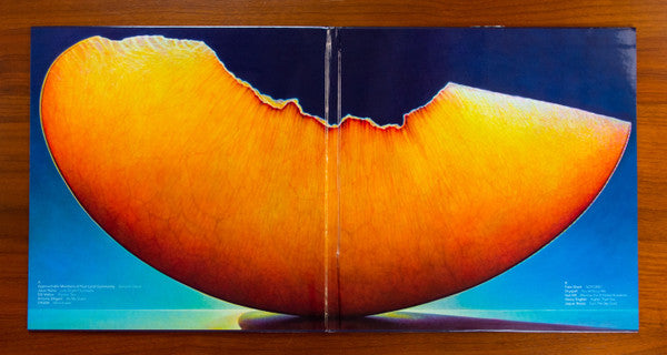 Vinyl Moon Volume 038: Sticky Fruit *SLEEVE ONLY* | Near Mint (NM)