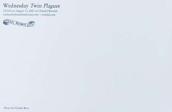 Twin Plagues (VINYL) | Mint (M) Mint (M) - ALT/INDIE *NEW*