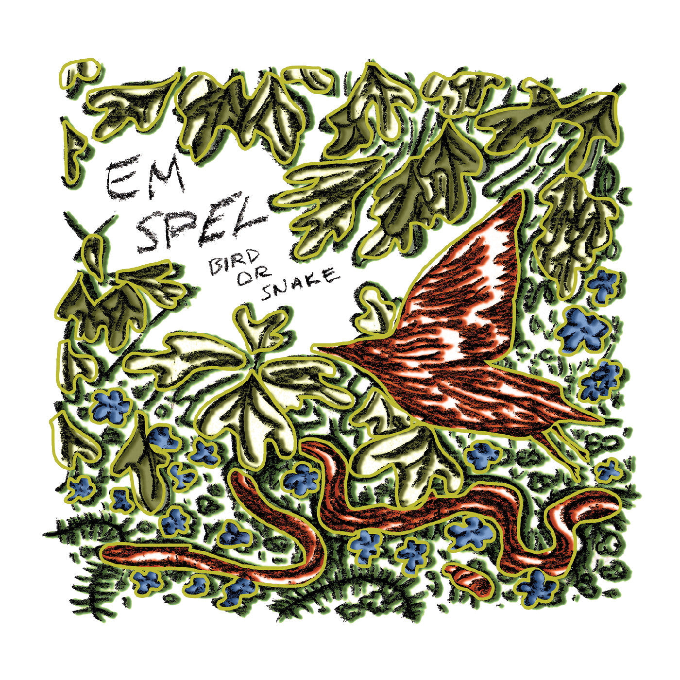 (PRE ORDER 4/03/26) Bird or Snake (VINYL) | - ALT/INDIE *NEW*