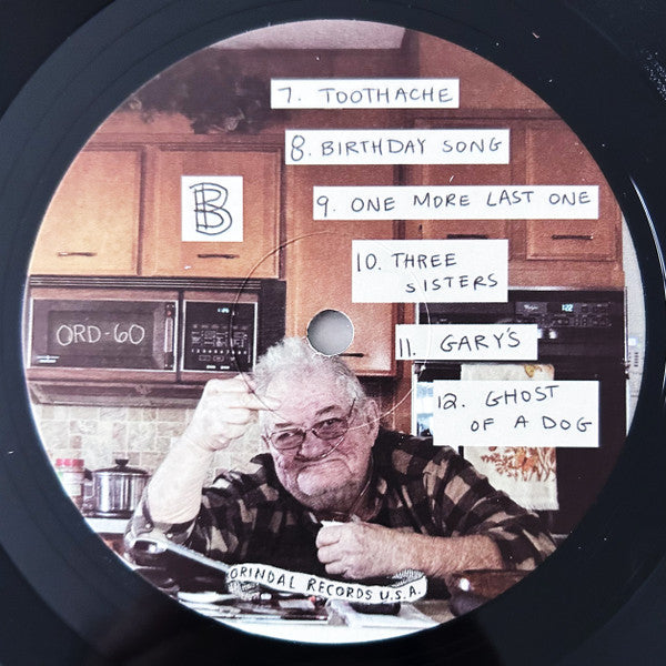 Twin Plagues (VINYL) | Mint (M) Mint (M) - ALT/INDIE *NEW*