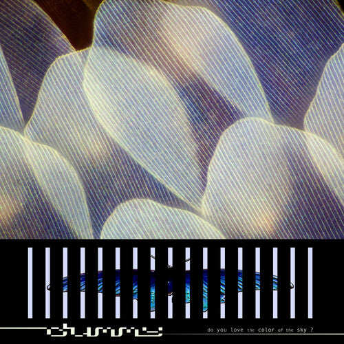 DUMMY - (PRESALE 10/16/26) Do You Love the Color of the Sky? (CD) | NEW - ALT/INDIE *NEW*