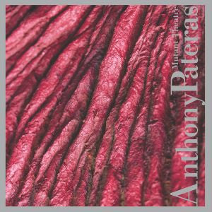 Pateras, Anthony - Mutant Theater (CD) | Mint Mint - ALT/INDIE *NEW*