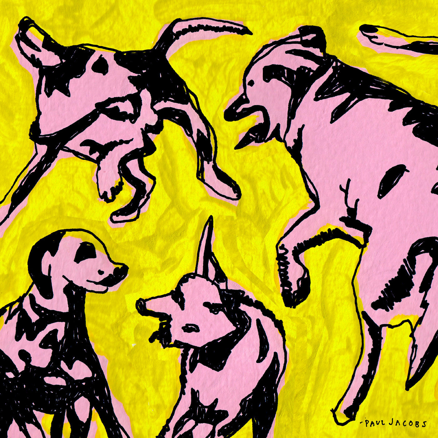 Jacobs, Paul - Pink Dogs on the Green Grass (CD) | - ALT/INDIE *NEW*