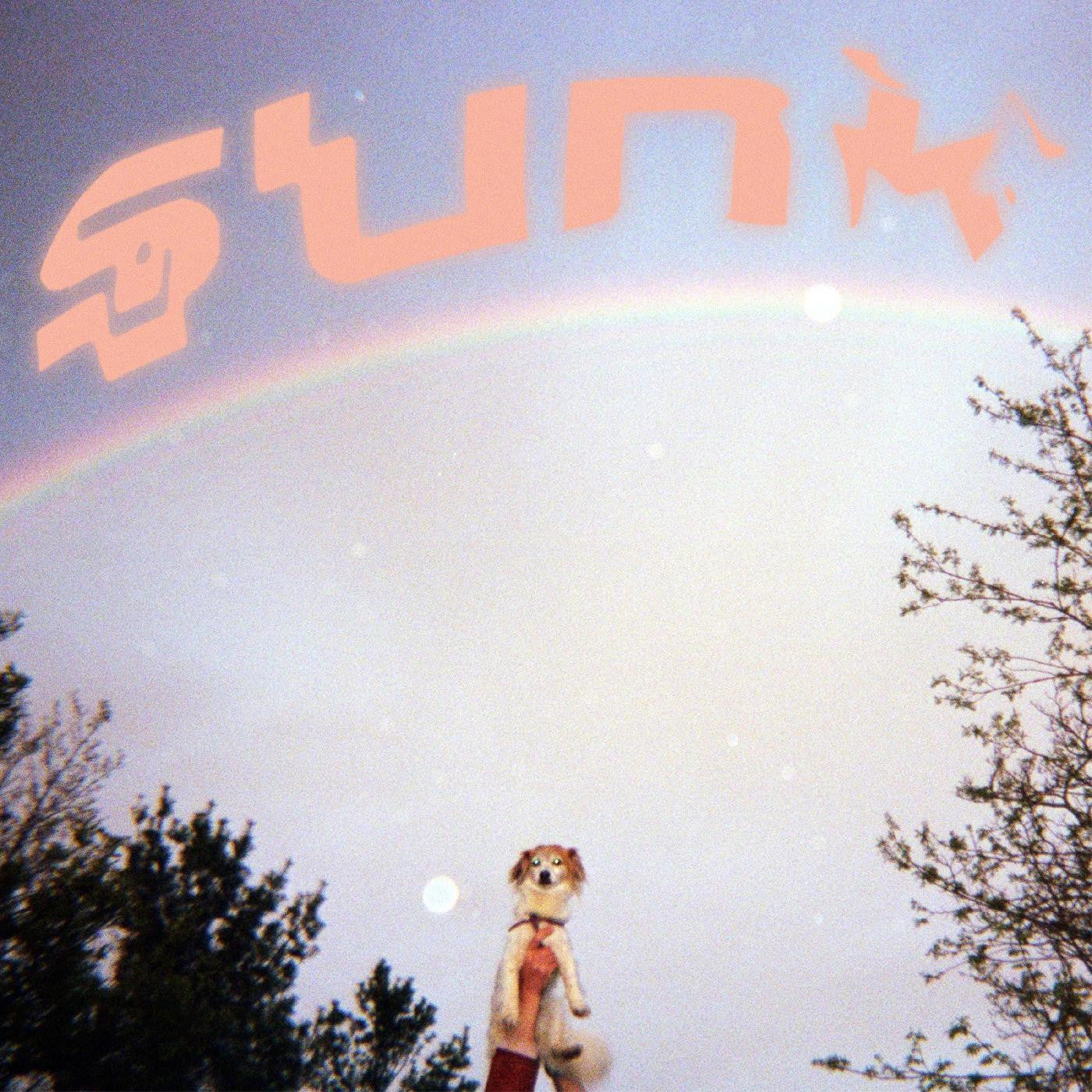 Babehoven - Sunk (CD) | - ALT/INDIE *NEW*