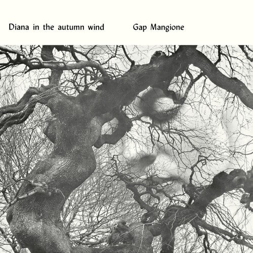 (PRE-ORDER 5/1/26) Diana In The Autumn Wind (VINYL) | Mint (M) Mint (M) - ALT/INDIE *NEW*
