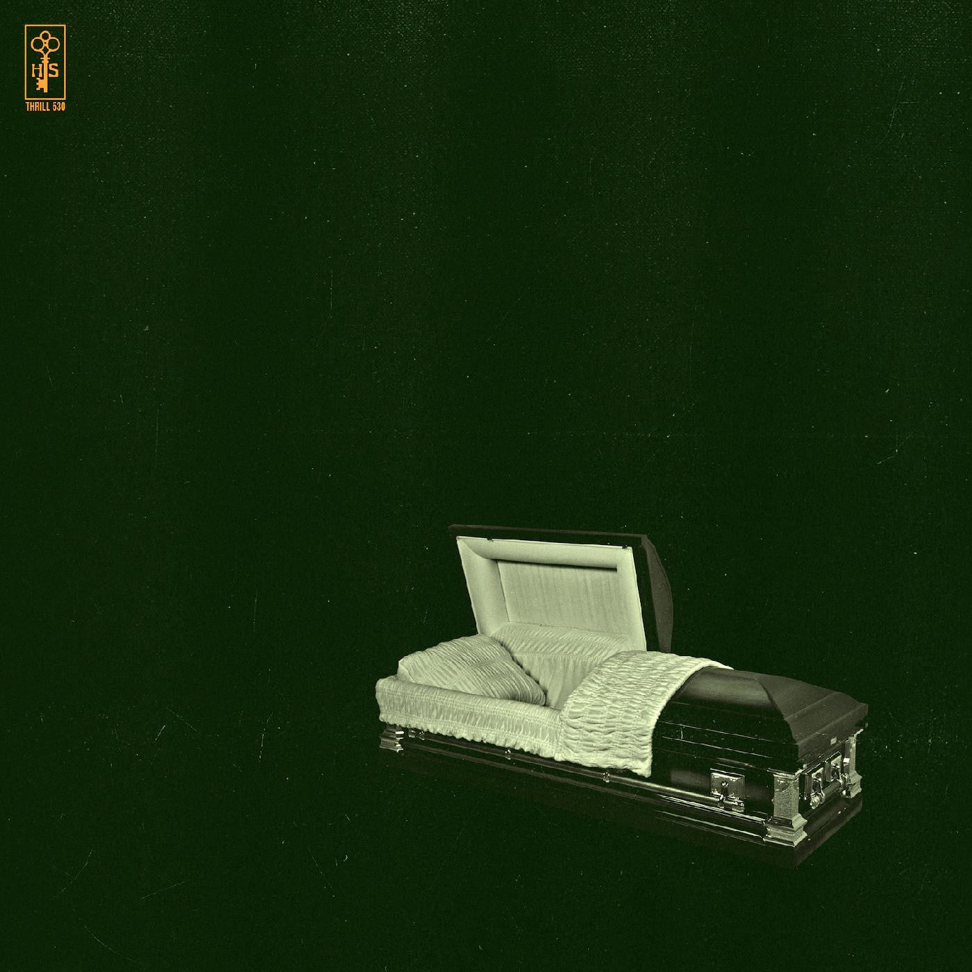 Holy Sons - Raw and Disfigured (Vinyl) | Mint (M) Mint (M) - ALT/INDIE *NEW*