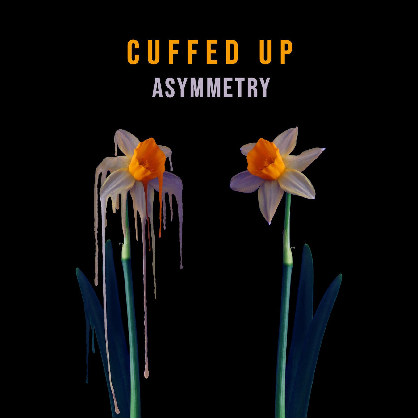 Cuffed Up - Asymmetry (COKE BOTTLE CLEAR VINYL) | - ALT/INDIE *NEW*