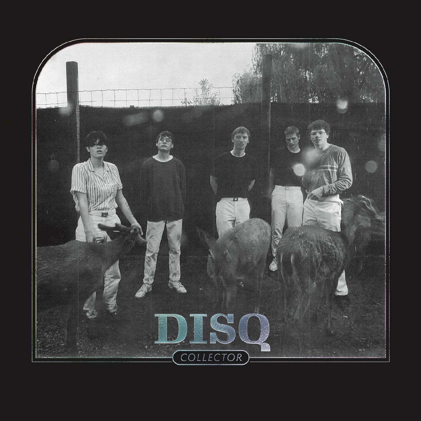 Disq - Collector (Vinyl) | Mint (M) Mint (M) - ALT/INDIE *NEW*