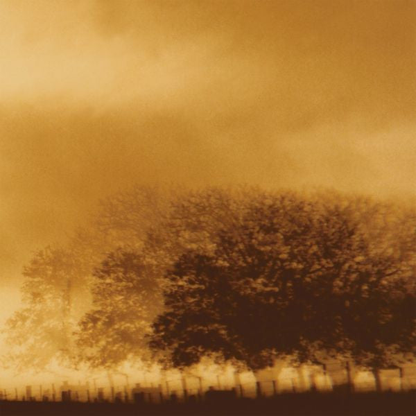 Infinite Light Ltd. - Infinite Light Ltd. (CD) | Mint (M) Mint (M) - ALT/INDIE *NEW*