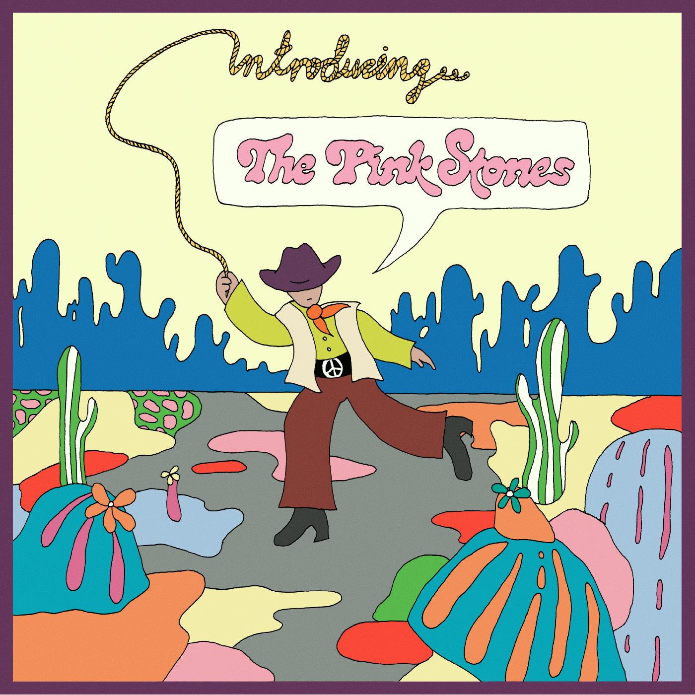 Pink Stones, The - Introducing...The Pink Stones (CD) | - ALT/INDIE *NEW*
