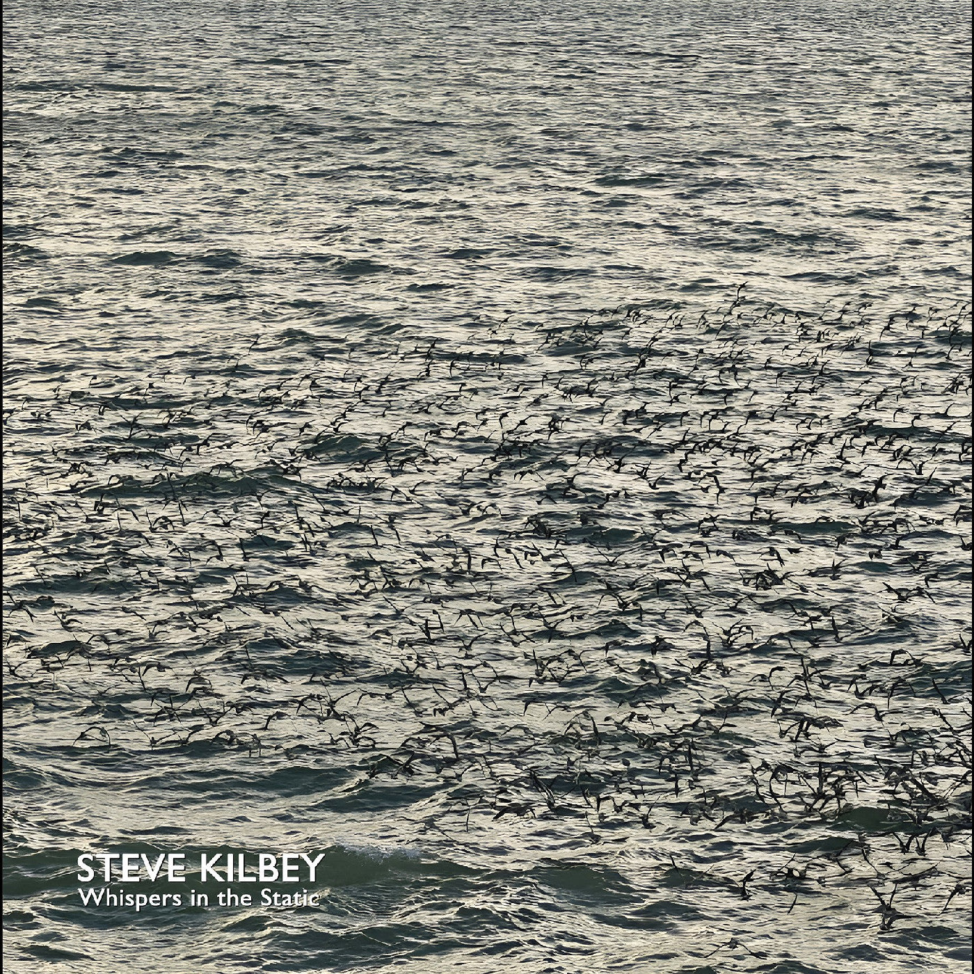 Kilbey, Steve - Whispers In The Static (GRAY VINYL) | - ALT/INDIE *NEW*