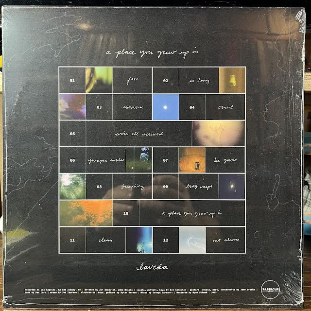 A Place You Grew Up In (VINYL) | Mint (M) Mint (M) - ALT/INDIE *SEALED*