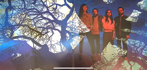 Widow's Weeds | Mint (M) Mint (M) - ALT/INDIE *SEALED*