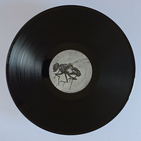Goodnight El Dorado: Strange Bedfellows In The Aftermath (VINYL) | Mint (M) Mint (M) - ALT/INDIE *SEALED*