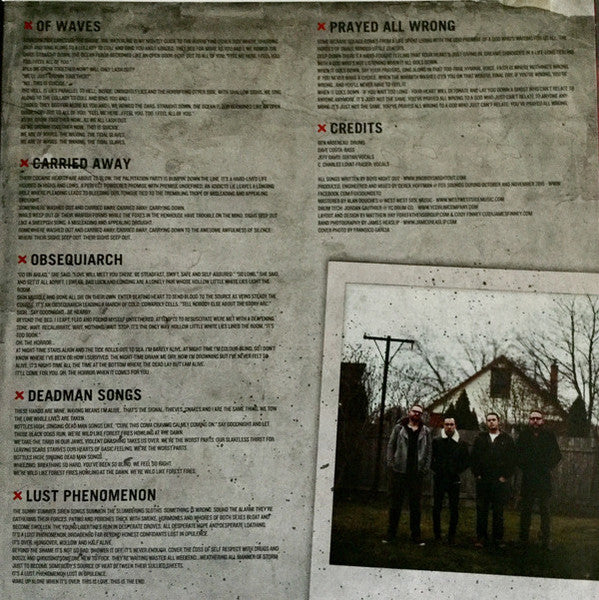 Black Dogs (YELL0W 10" VINYL) | Near Mint (NM or M-) Mint (M) - ALT/INDIE / USED *NEAR MINT*
