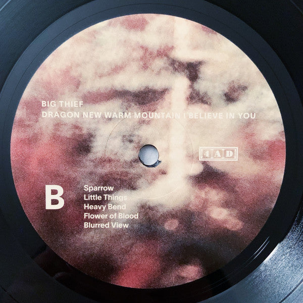 Dragon New Warm Mountain I Believe In You | Mint (M) Mint (M) - ALT/INDIE *SEALED*