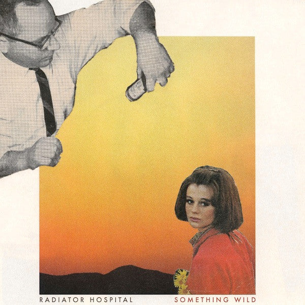 Radiator Hospital - Something Wild | Mint (M) Mint (M) - ALT/INDIE *SEALED*
