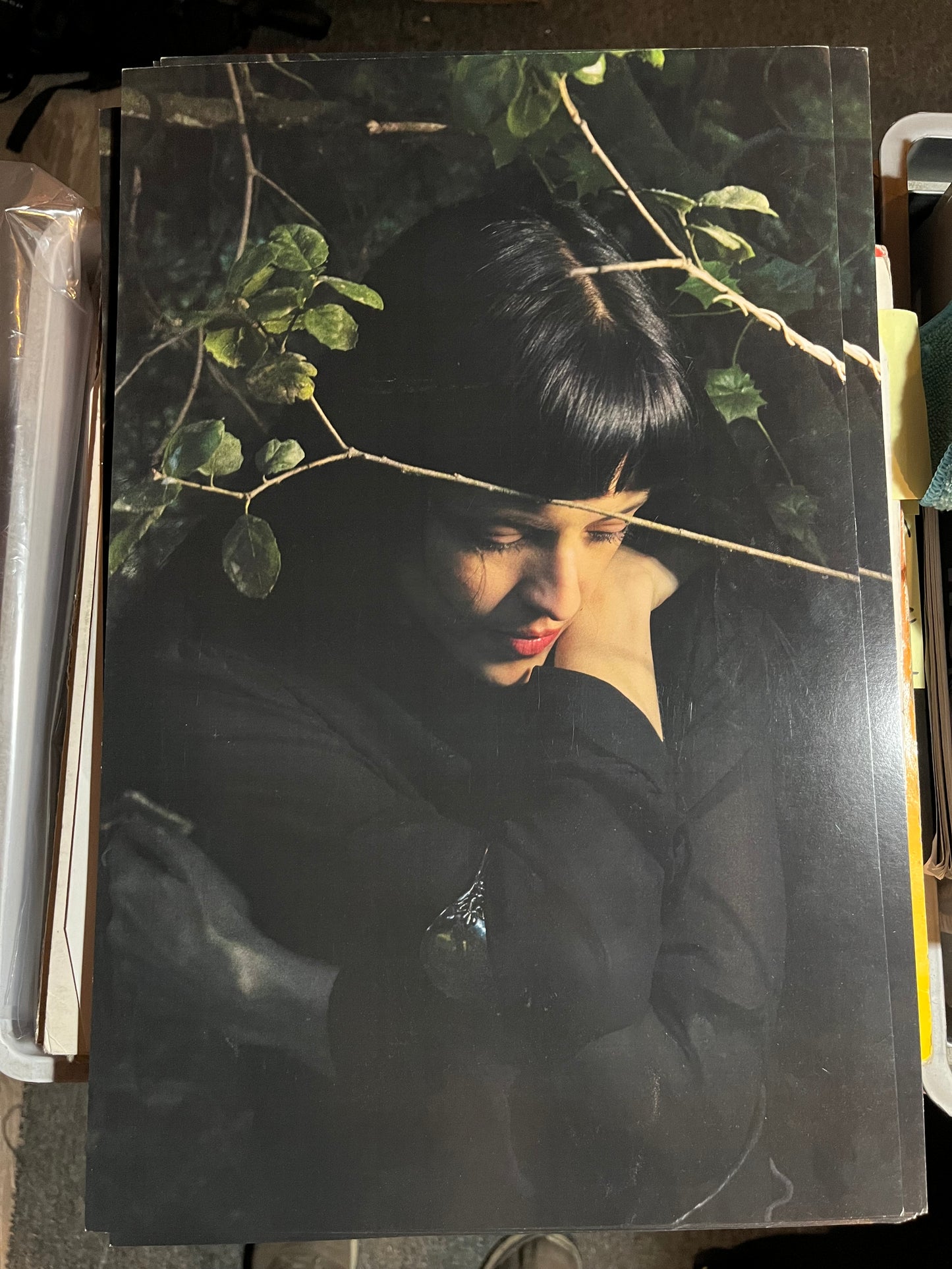 Maria Zardoya / Not For Radio - Melt 2025 Album Poster Litho 11" x 17" The Marias | - ALT/INDIE*