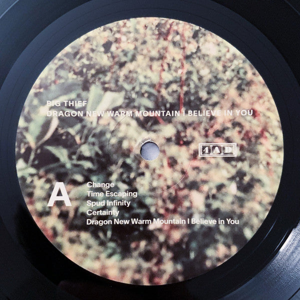 Dragon New Warm Mountain I Believe In You | Mint (M) Mint (M) - ALT/INDIE *SEALED*