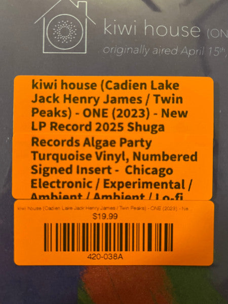 kiwi house: ONE (TURQUOISE VINYL) | Mint (M) Mint (M) - AMBIENT *NEW/COLOR*