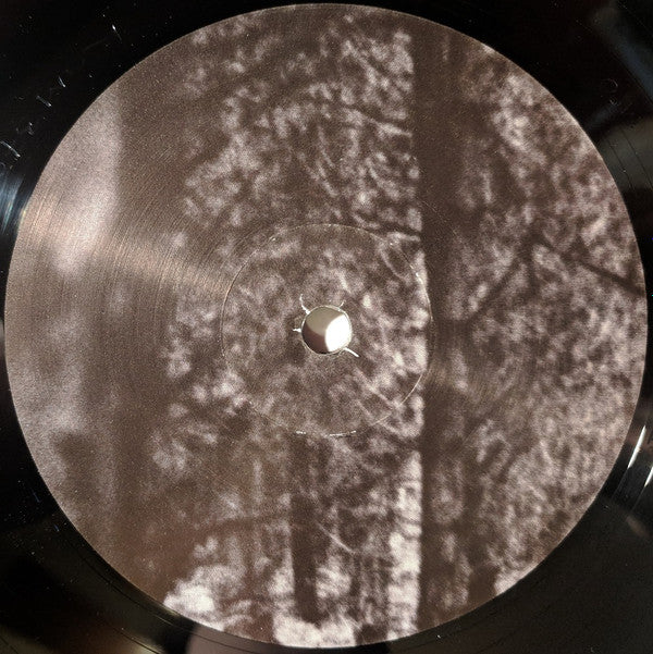 Zauberberg | Mint (M) Mint (M) - AMBIENT *SEALED*