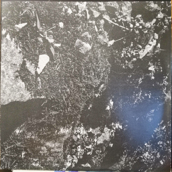 1979 (VINYL) | - AMBIENT *SEALED*