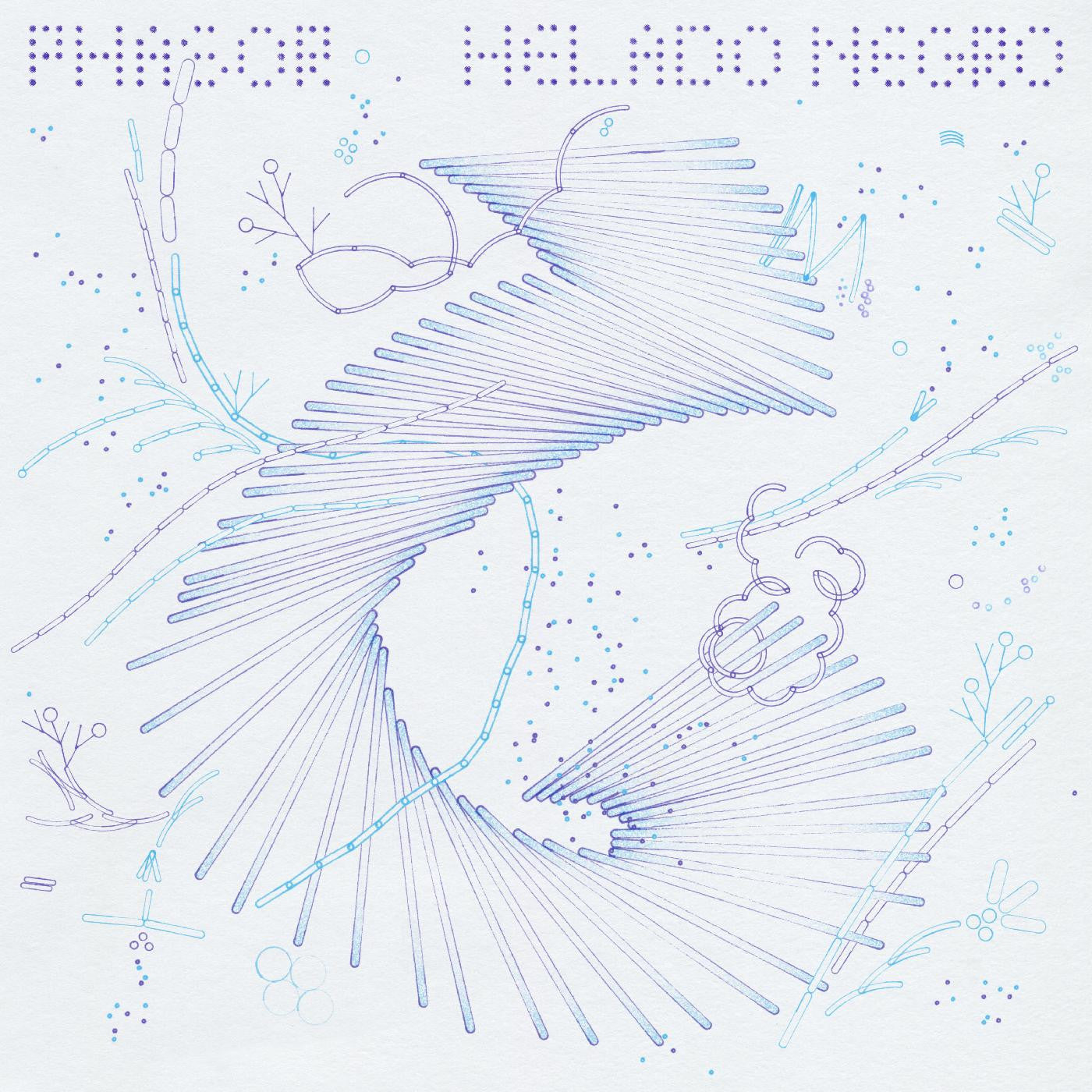 Helado Negro - Phasor | Mint (M) Mint (M) - AMBIENT *SEALED*