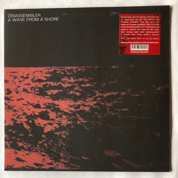 A Wave From A Shore (VINYL) | Near Mint (NM) Near Mint (NM) - AMBIENT / USED *NEAR MINT*