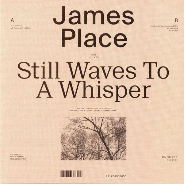 Still Waves To A Whisper | Mint (M) Mint (M)