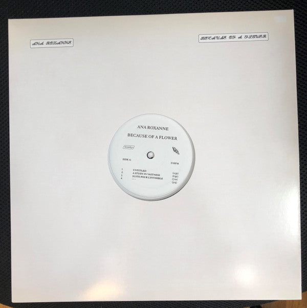 Because Of A Flower | Mint (M) Mint (M) - AMBIENT *SEALED*