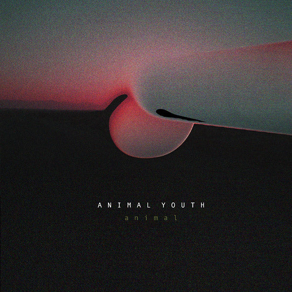 Animal |