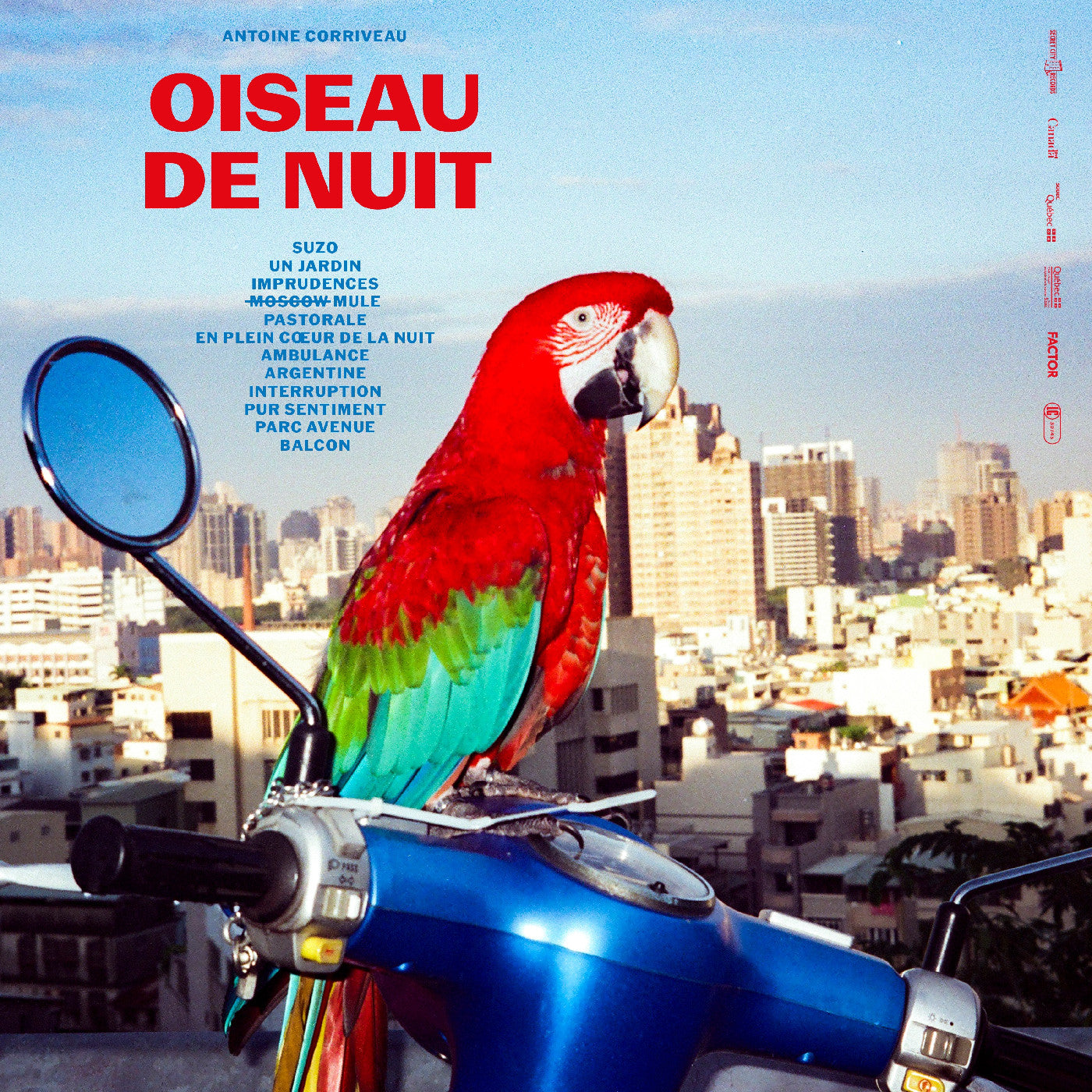 Oiseau De Nuit |