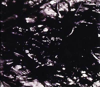 Presences Of Absences |