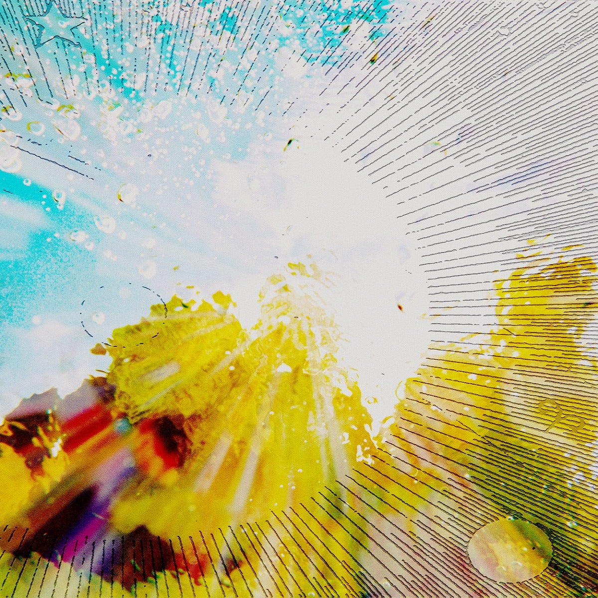 Slipper Imp And Shakaerator (Indie Exclusive, Limited Edition, Blue Laguna Colored Vinyl) |