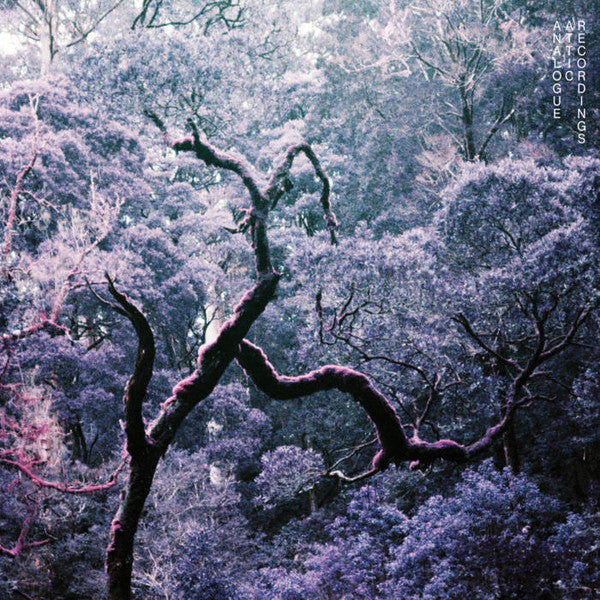 Bush Bash | Mint (M) Mint (M) - AMBIENT *SEALED*