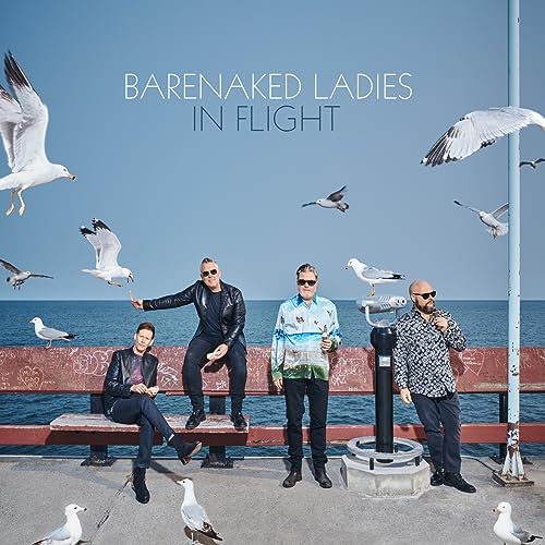 In Flight (2LP) | Mint (M) Mint (M) - ROCK/POP