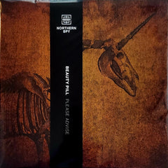 Beauty Pill Please Advise Northern Spy 12" Mint (M) Mint (M)