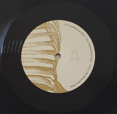 Beauty Pill Please Advise Northern Spy 12" Mint (M) Mint (M)