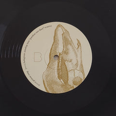 Beauty Pill Please Advise Northern Spy 12" Mint (M) Mint (M)